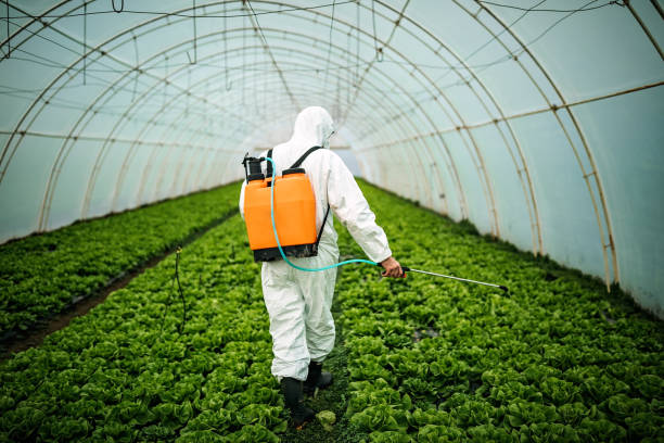 Professional Pest Control in Dundee, NY