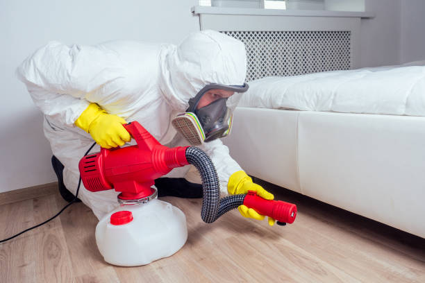 Best Bed Bug Extermination  in Dundee, NY