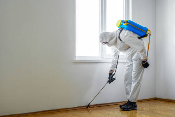 Best Best Pest Control Companies  in Dundee, NY